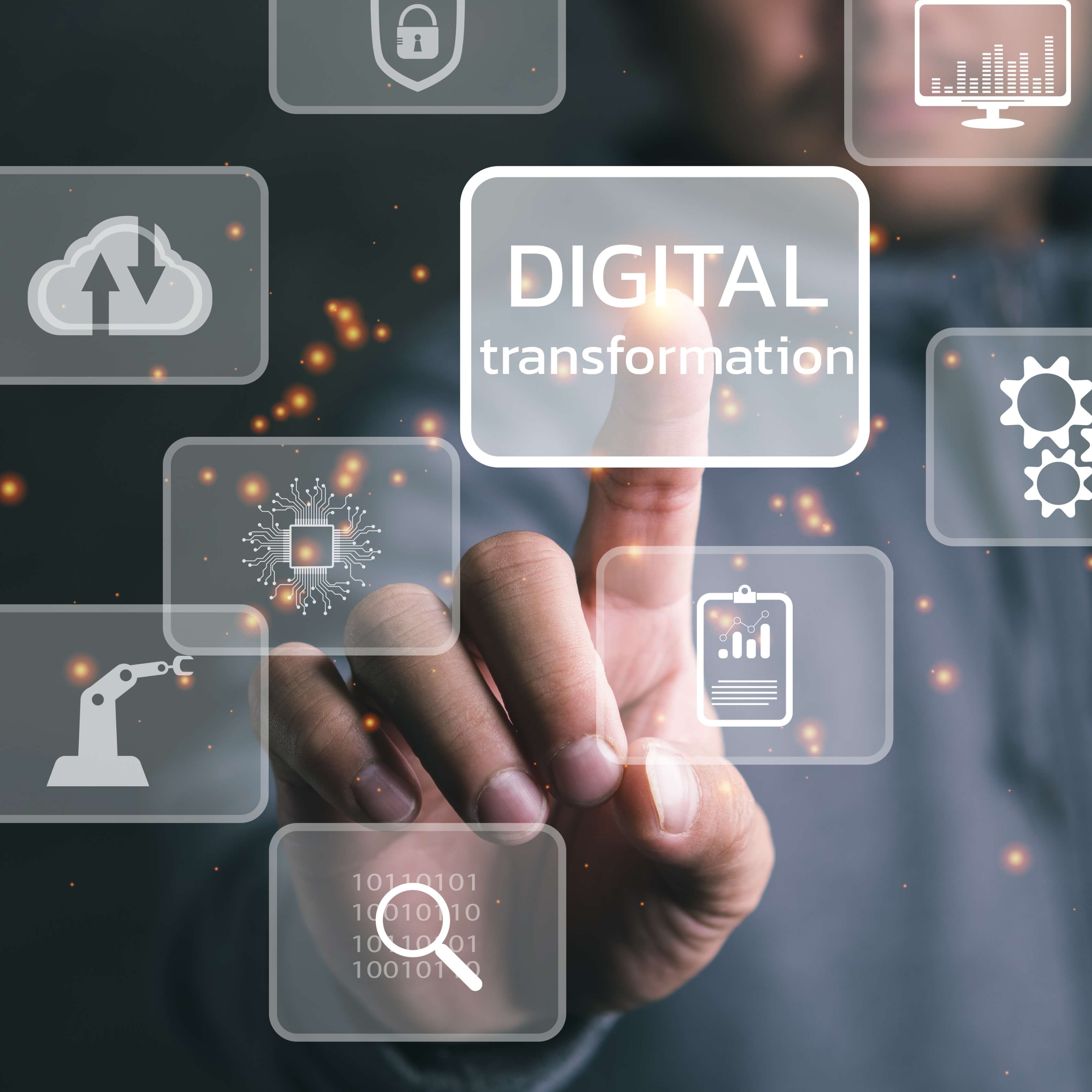 Digital Literacy (Online)