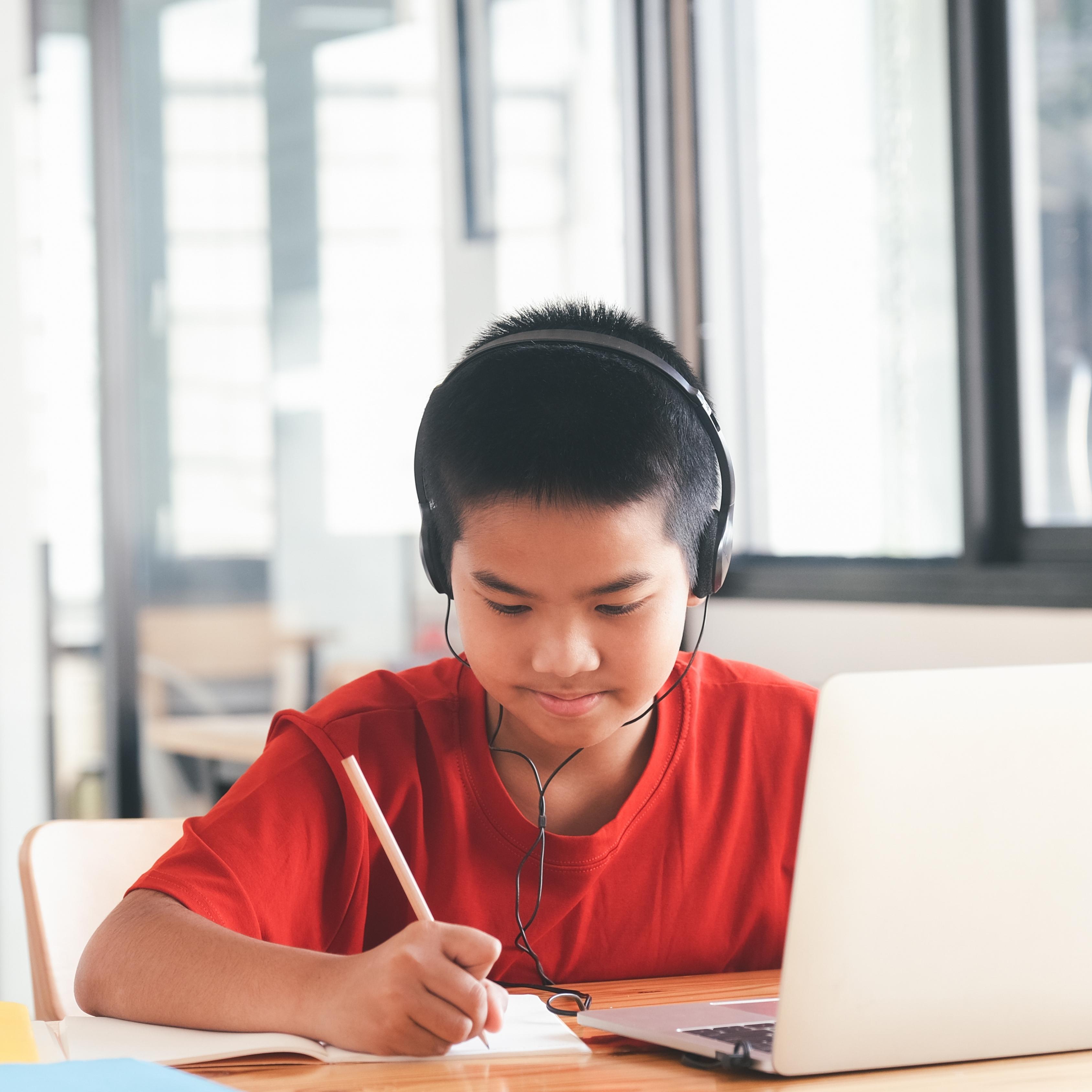 Language Coaching Hindi (Online)